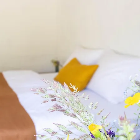 Bed & Breakfast Rodegaard