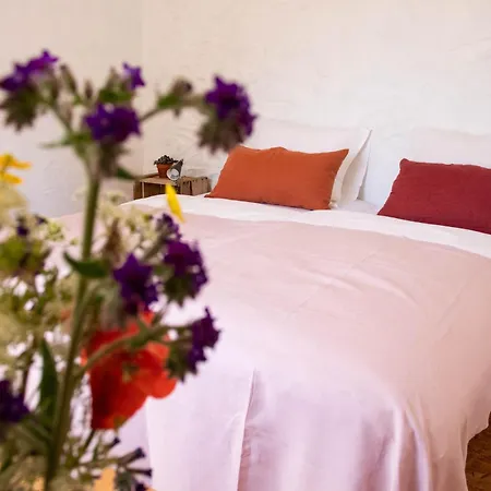 Rodegaard Bed & Breakfast Knebel