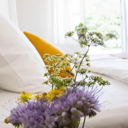 Bed & Breakfast Rodegaard Knebel