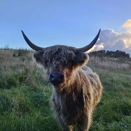 Rodegaard Alojamento de Acomodação e Pequeno-almoço