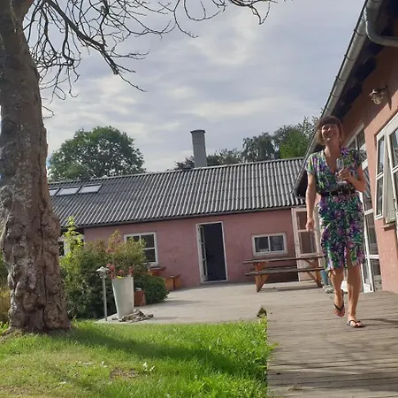 Rodegaard Mols Panzió *