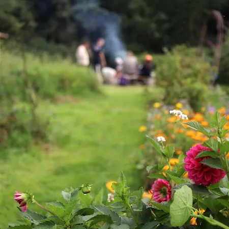 Rodegaard Bed & Breakfast *