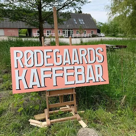 Panzió Rodegaard Mols *